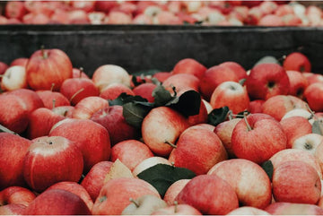 How Much Sugar is in Cider?